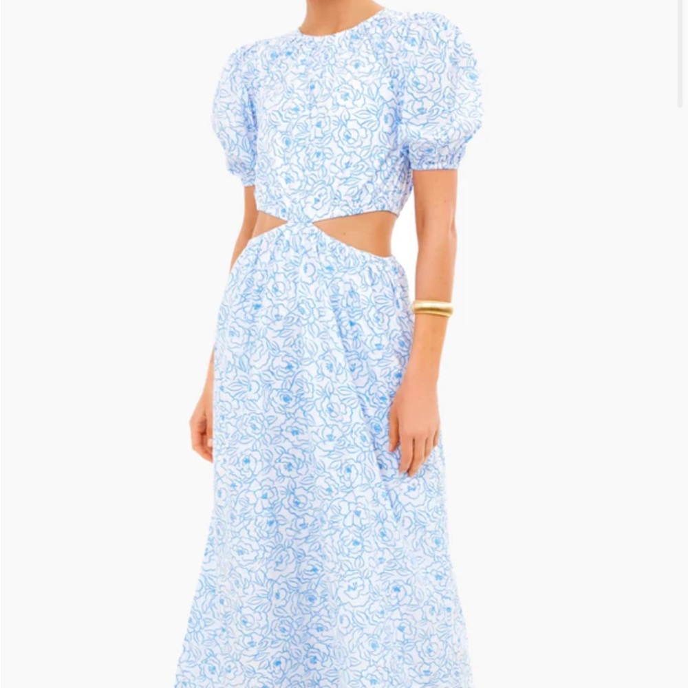 (NWT) Martine Floral Print Alessandria Midi Dress